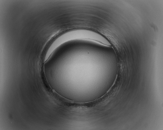 X0000116780304200912311902