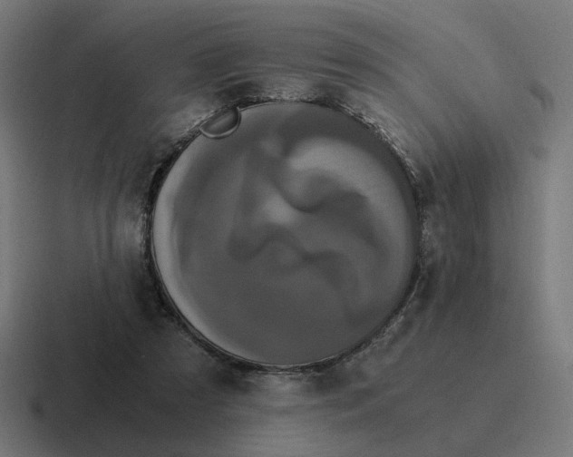 X0000116780305200912311902