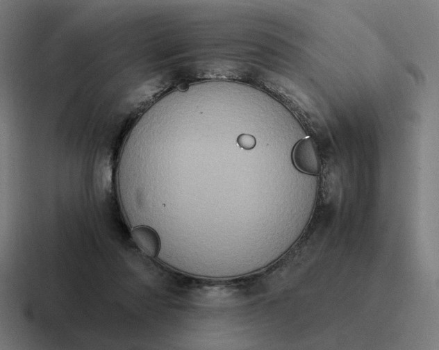 X0000116780310200912311902