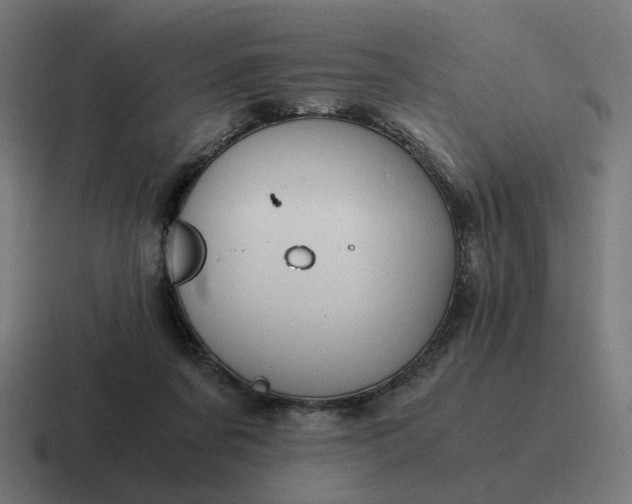 X0000116780311200912311902