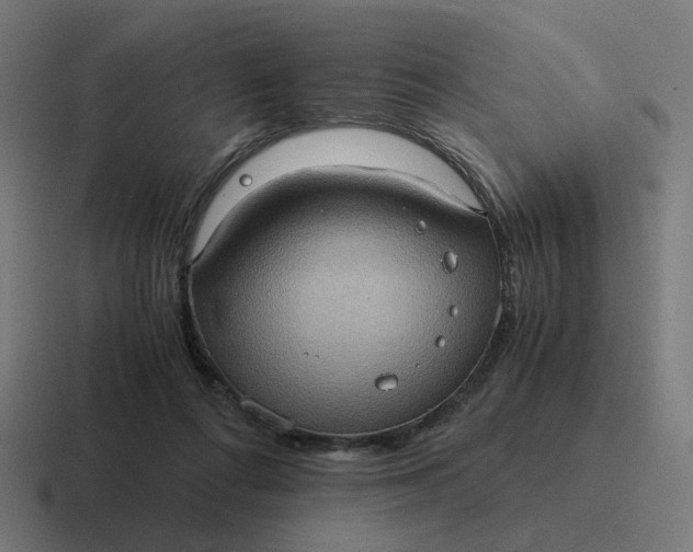 X0000116780312200912311902