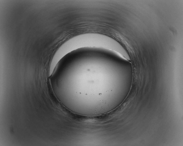 X0000116780313200912311902