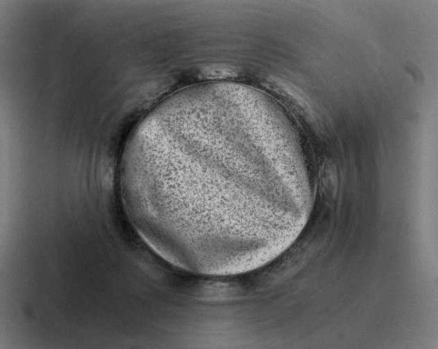 X0000116780315200912311902