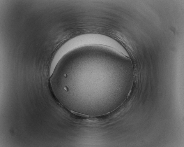 X0000116780317200912311902