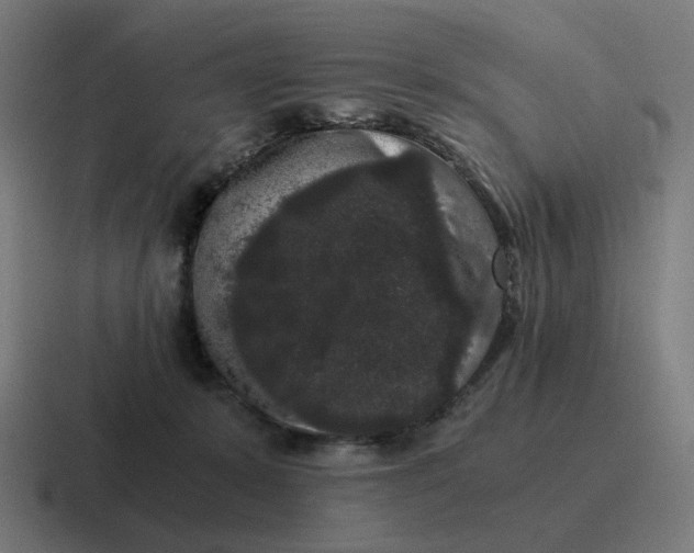 X0000116780319200912311902