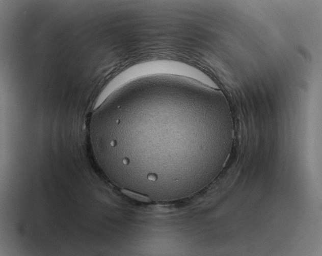 X0000116780320200912311902