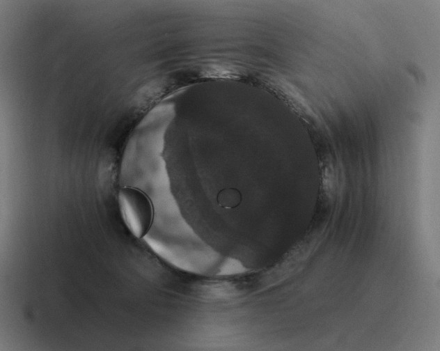 X0000116780322200912311902