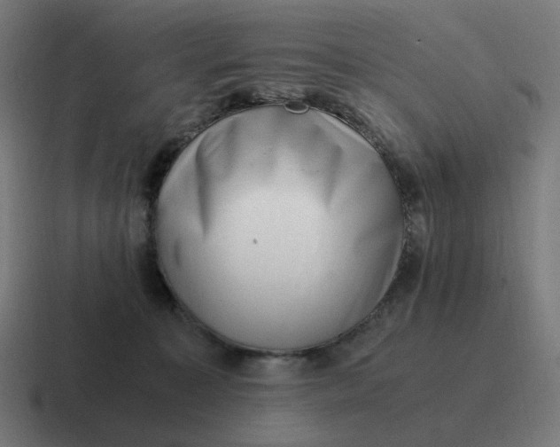 X0000116780323200912311902