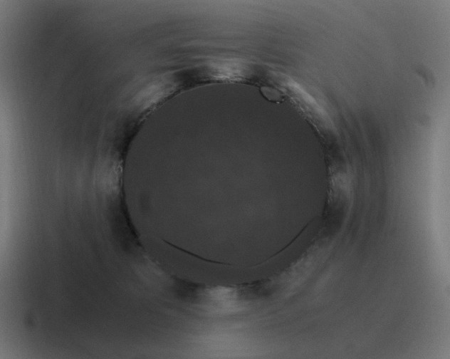 X0000116780325200912311902