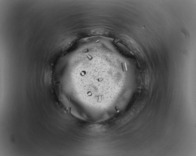 X0000116780326200912311902