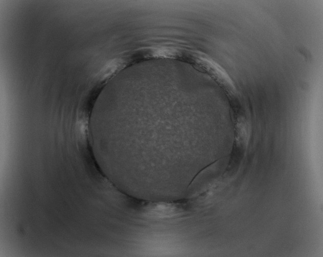 X0000116780329200912311902