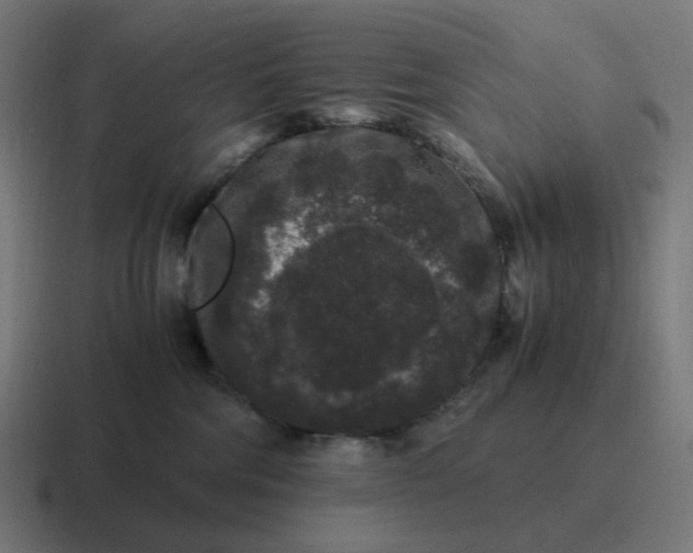 X0000116780330200912311902