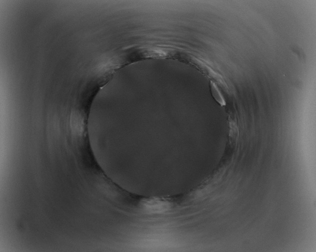 X0000116780331200912311902