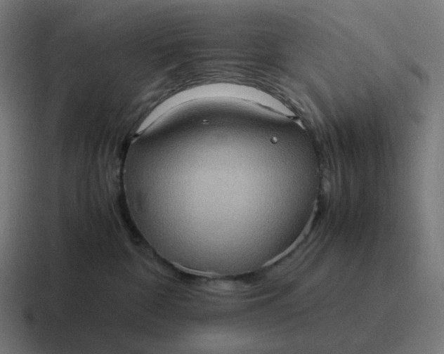 X0000116780332200912311902