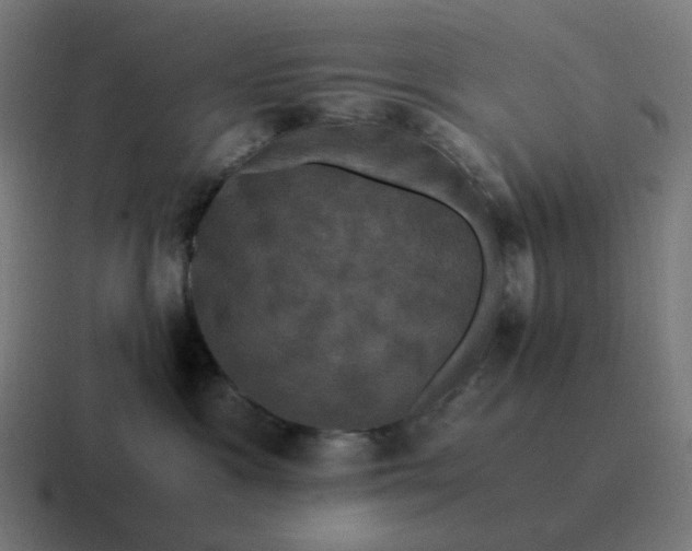 X0000116780333200912311902