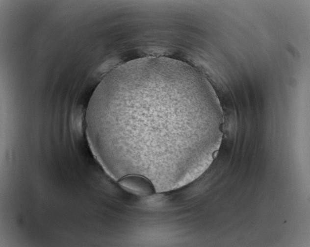 X0000116780334200912311902