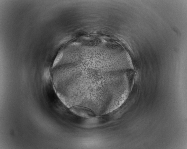 X0000116780335200912311902