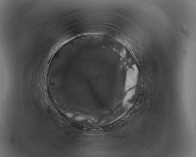 X0000116780337200912311901