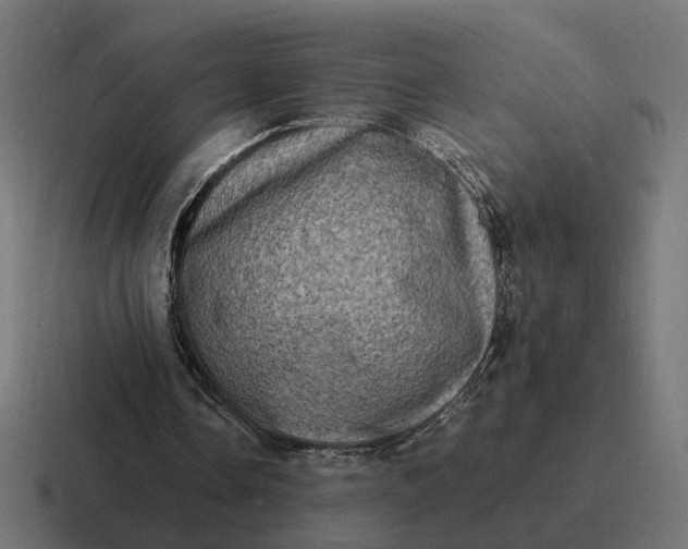 X0000116780338200912311901