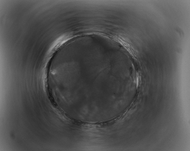 X0000116780339200912311901