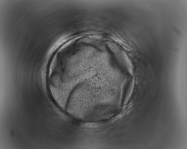 X0000116780341200912311902