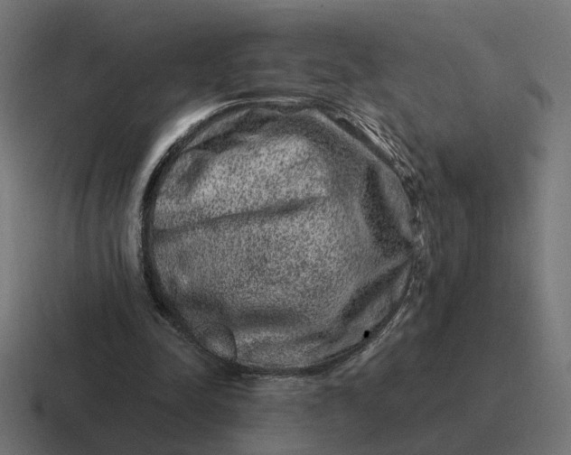 X0000116780342200912311902