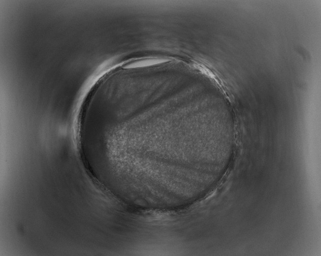 X0000116780343200912311902