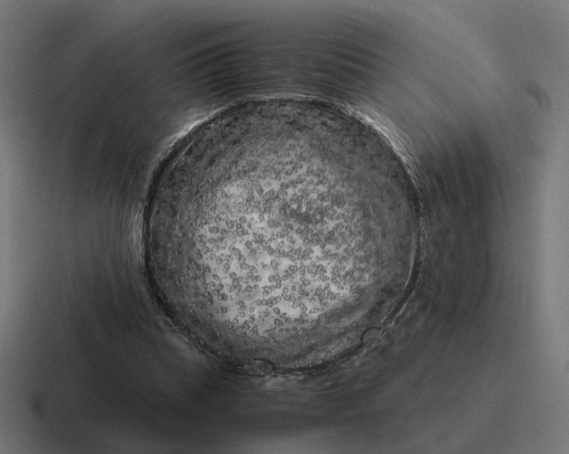 X0000116780345200912311902