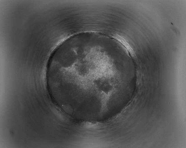 X0000116780346200912311902