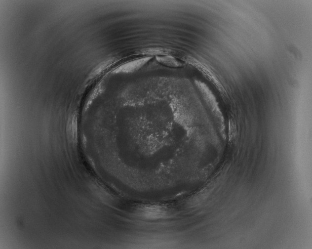 X0000116780349200912311902