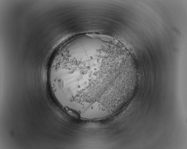 X0000116780350200912311902