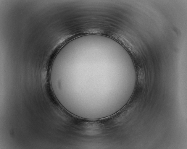 X0000116780351200912311902