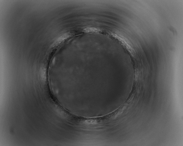 X0000116780353200912311902