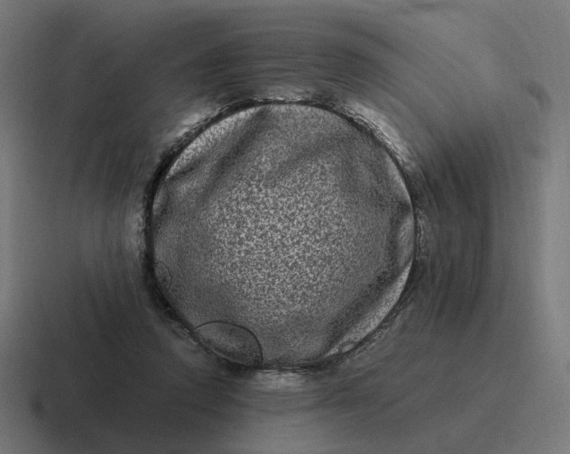 X0000116780354200912311902