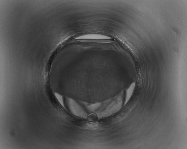 X0000116780355200912311902