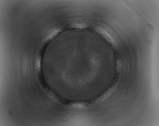 X0000116780358200912311902