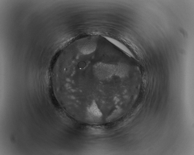 X0000116780359200912311902