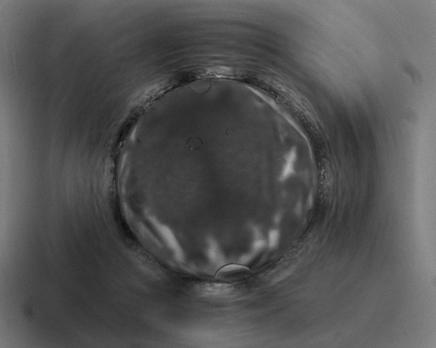 X0000116780361200912311902