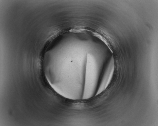 X0000116780362200912311902