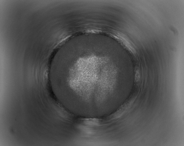 X0000116780363200912311902