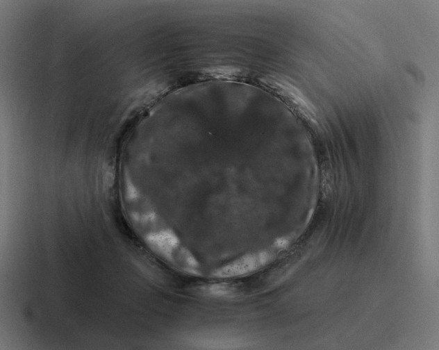 X0000116780365200912311902