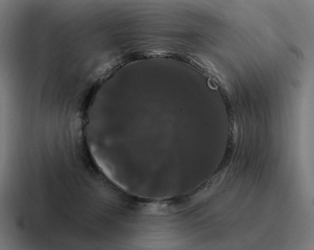 X0000116780366200912311902