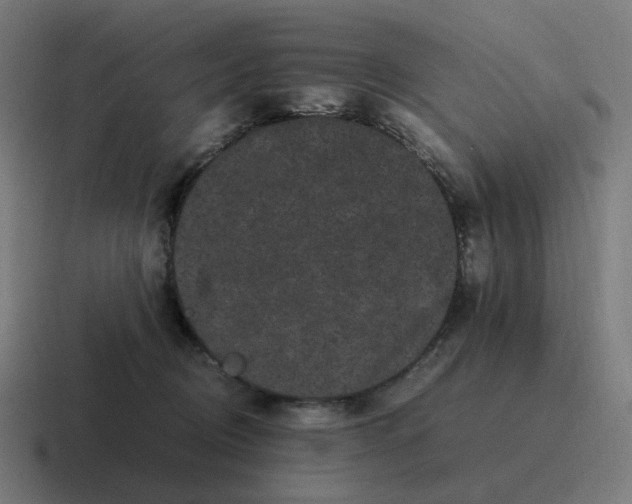 X0000116780370200912311902