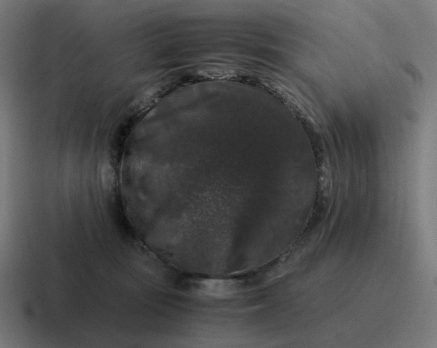 X0000116780371200912311902