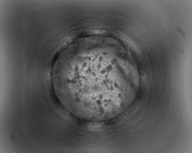 X0000116780373200912311902