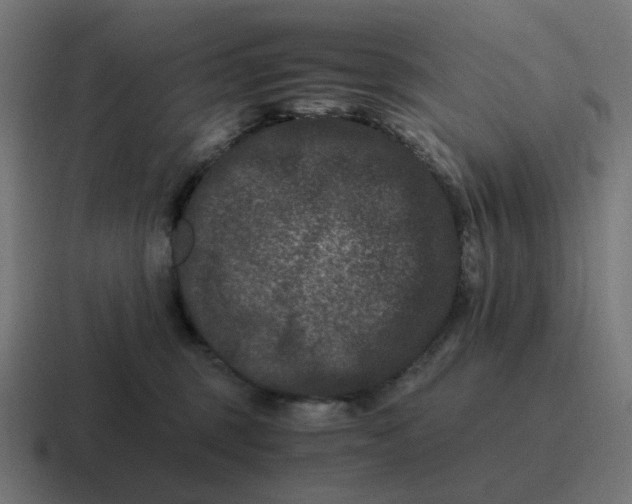 X0000116780375200912311902