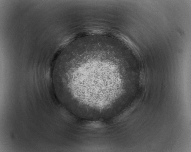 X0000116780377200912311902