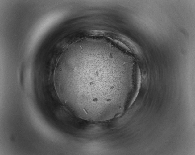 X0000116780381200912311902