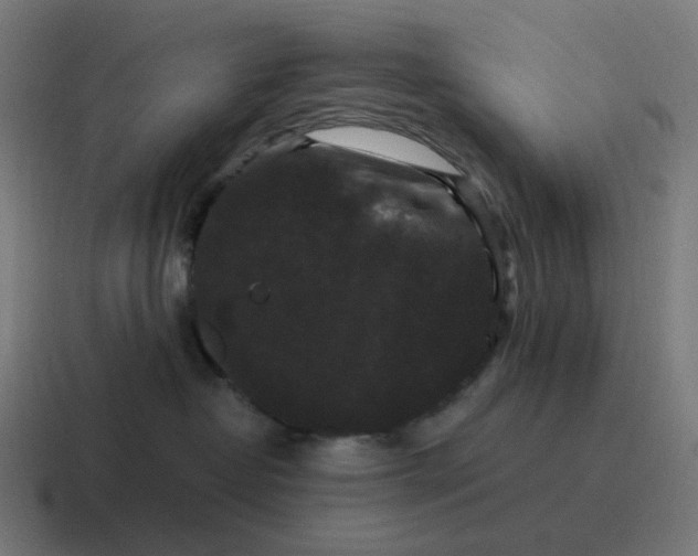 X0000116780382200912311902