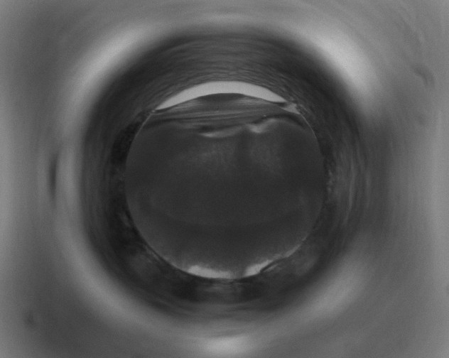 X0000116780383200912311902